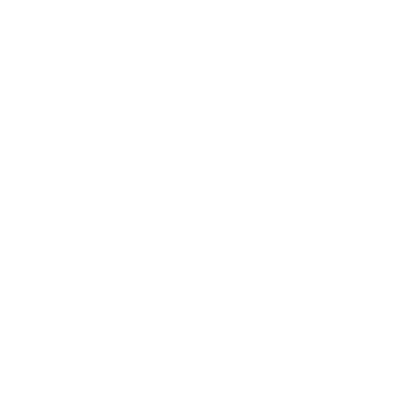 kings camo logo